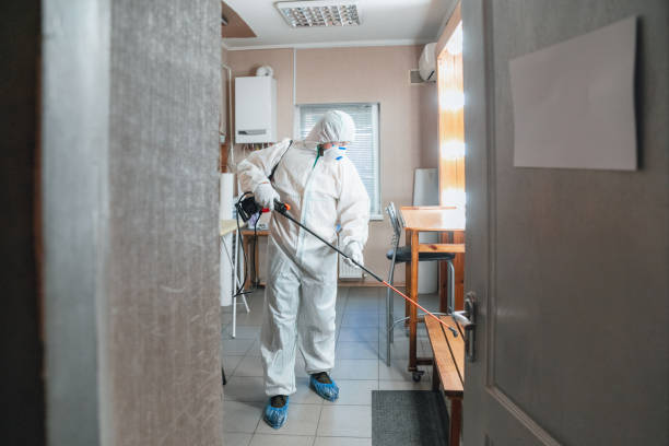 Mold Odor Removal Services in Edgemoor, DE